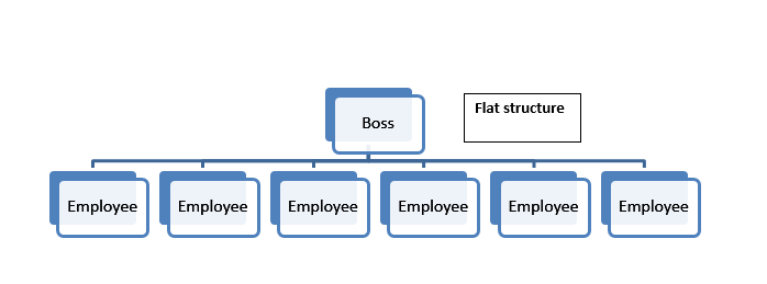 flat-organization-insight-tycoon