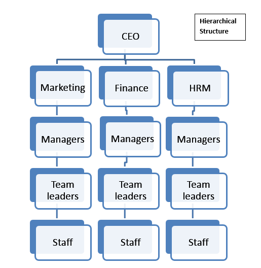 Flat Organization | Insight Tycoon